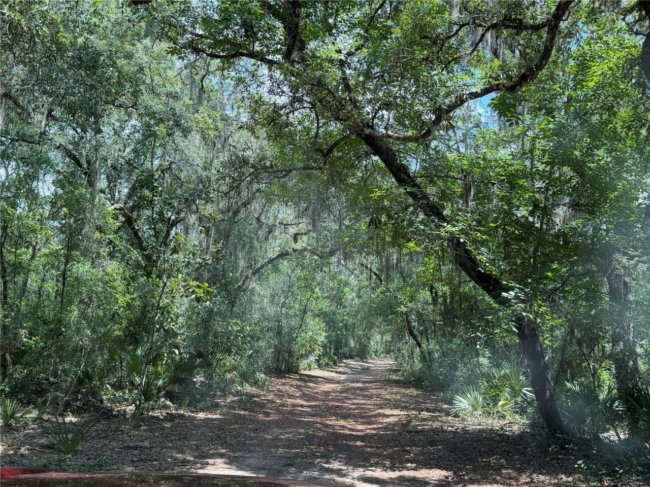 0 SE 150th Forest 02, #3,  SE 150th Street, Umatilla, FL 32784 Photo