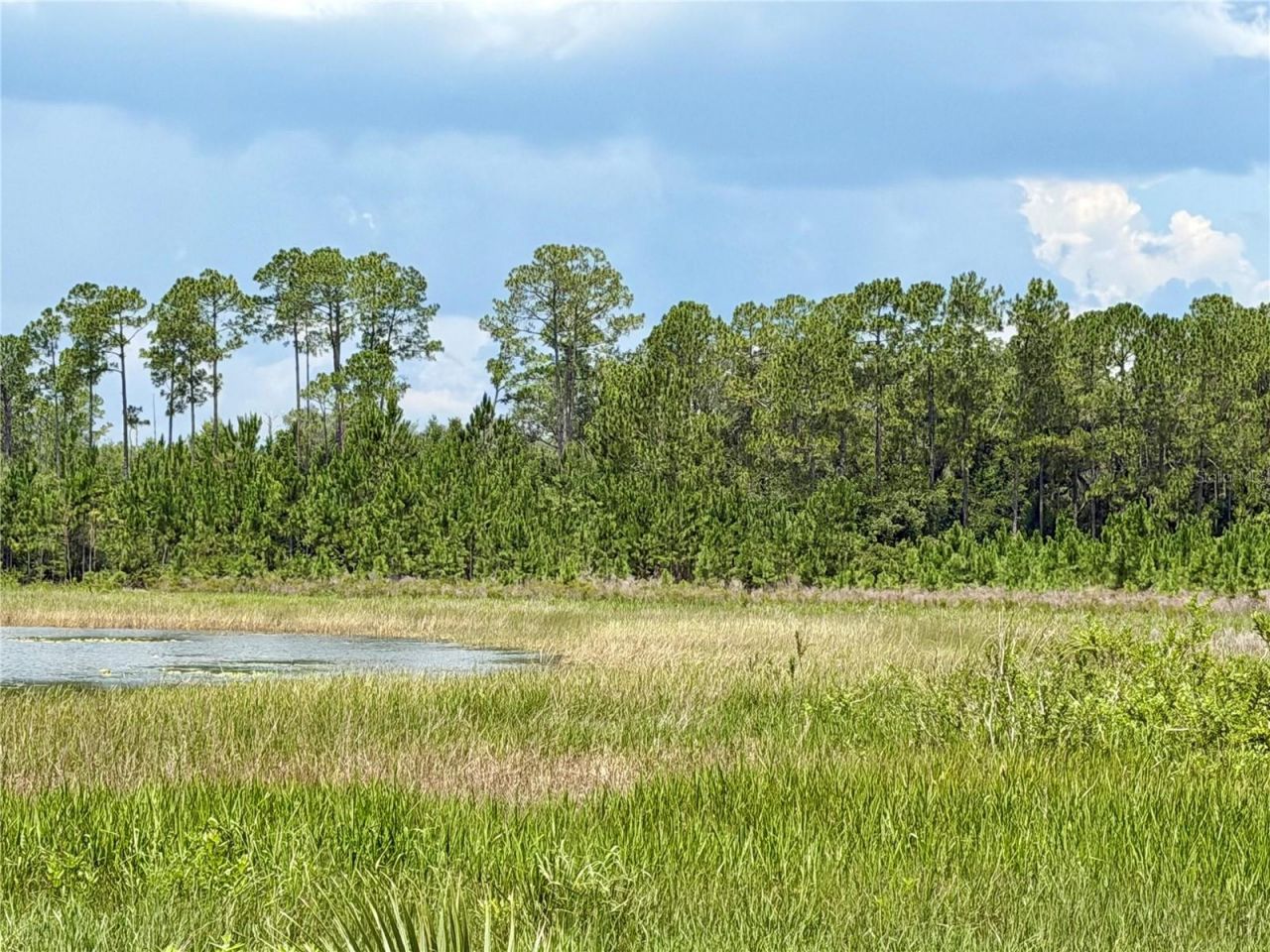 0 SE 150th Forest 02, #3,  SE 150th Street, Umatilla, FL 32784 Photo