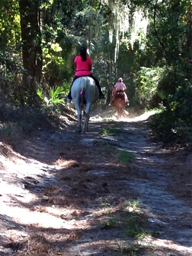0 SE 150th Forest 02, #3,  SE 150th Street, Umatilla, FL 32784 Photo