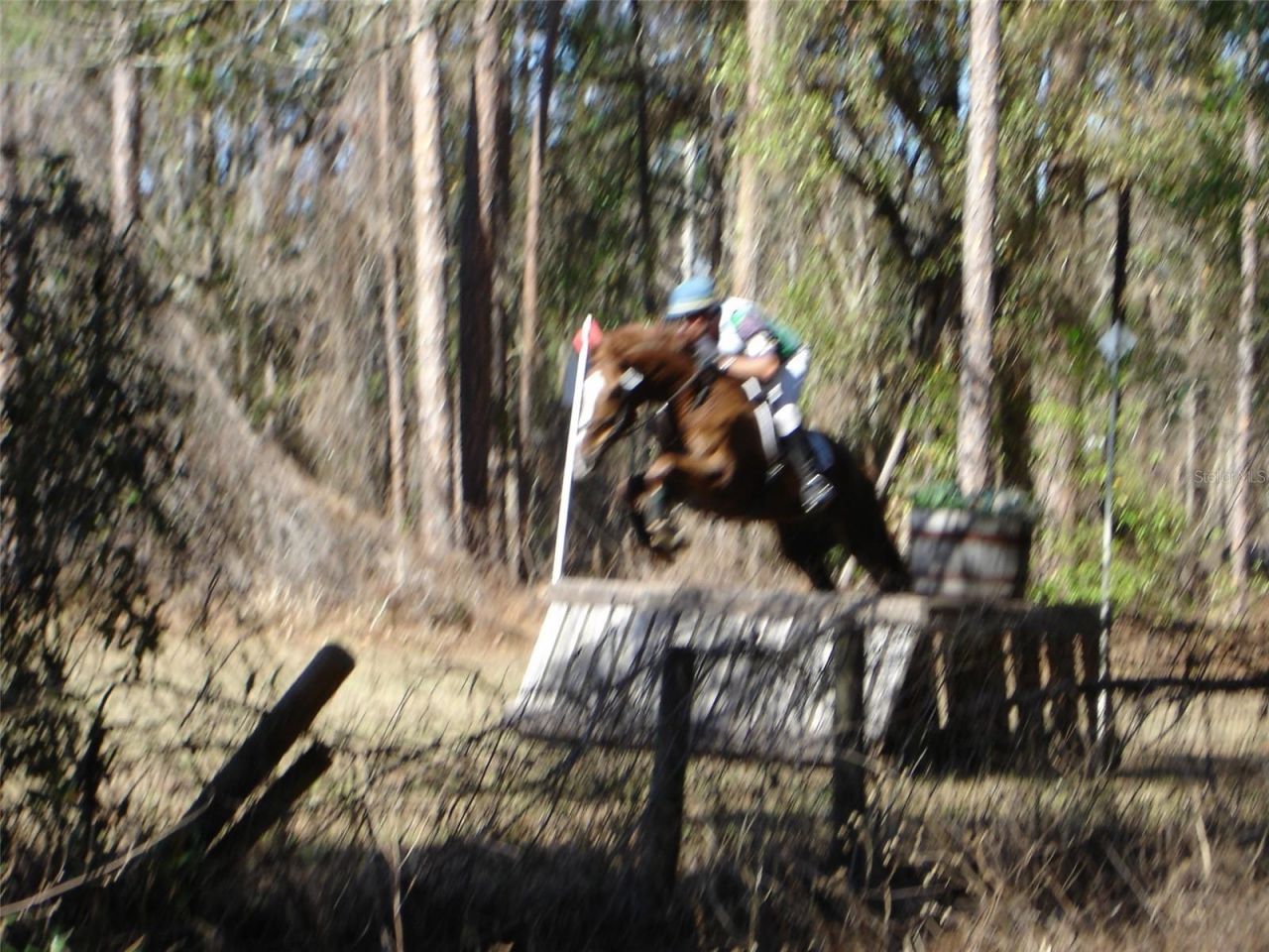0 SE 150th Forest 02, #3,  SE 150th Street, Umatilla, FL 32784 Photo
