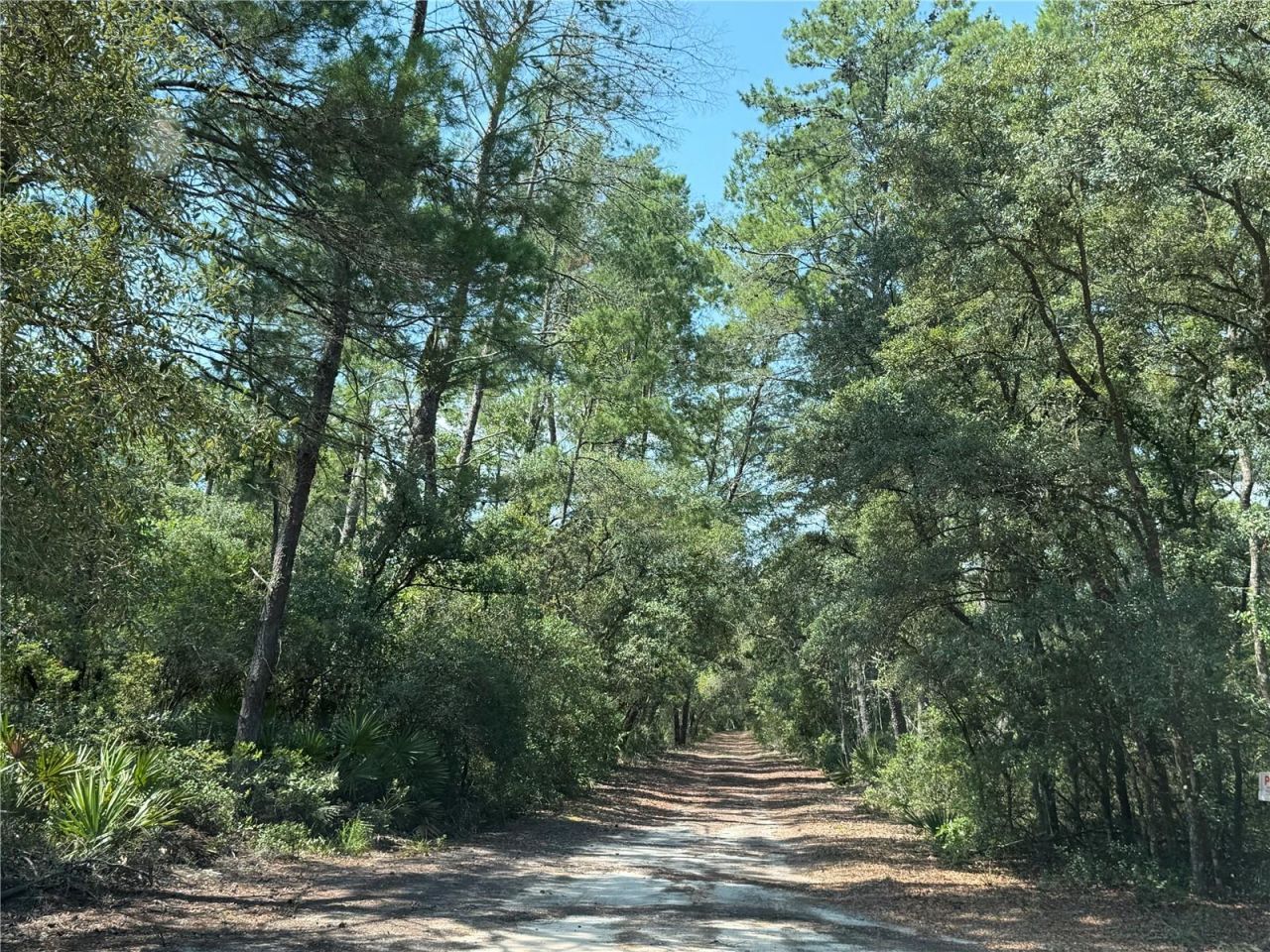 0 SE 150th Forest 02, #3,  SE 150th Street, Umatilla, FL 32784 Photo