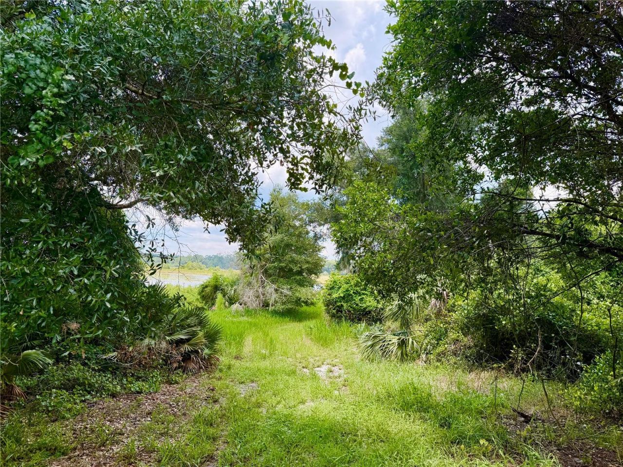 0 SE 150th Forest 02, #3,  SE 150th Street, Umatilla, FL 32784 Photo