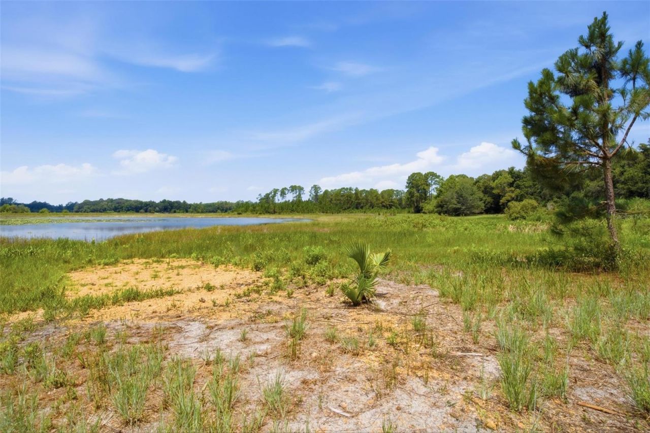 0 SE 150th Forest 02, #3,  SE 150th Street, Umatilla, FL 32784 Photo