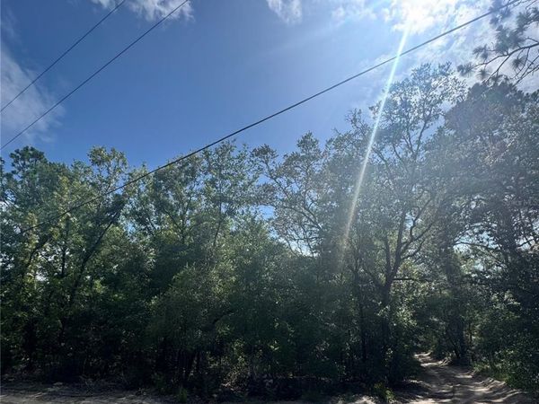TBD SW 65TH AVENUE , DUNNELLON, FL 34432