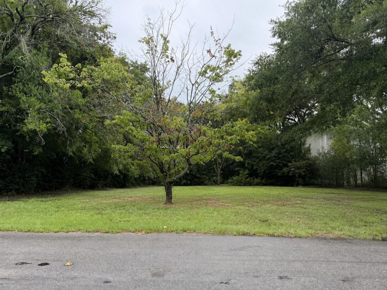 1490 Indian Street Photo 1