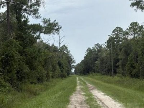 10335 HENNESSEY Avenue, Hastings, FL 32145