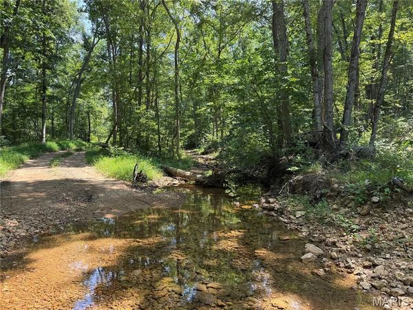 #405 Madison 410 , Fredericktown, MO 63645