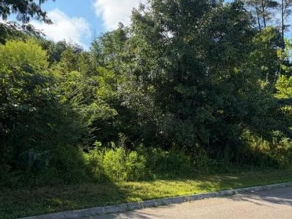 7659 Pennyroyal Drive, Knoxville, TN 37920