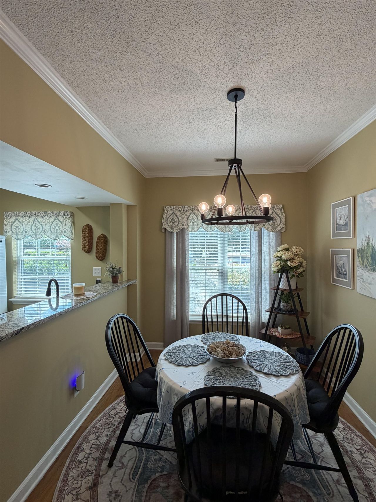 300 Willow Green Dr. Photo 7