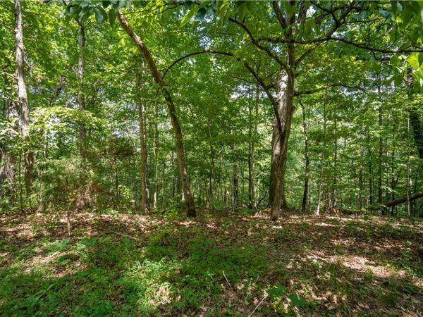 Armitage Drive , Bella Vista, AR 72715