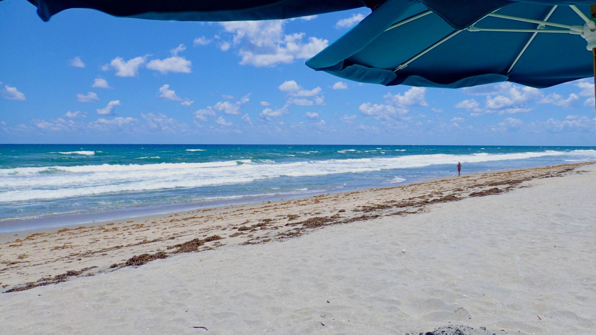 4101 N Ocean Boulevard, Unit D-1608, Boca Raton, FL 33431 Photo