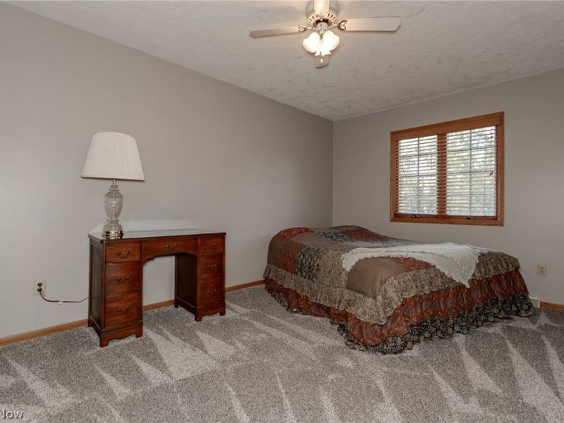 3195 Narrows Road, Perry, OH 44081 Photo 28