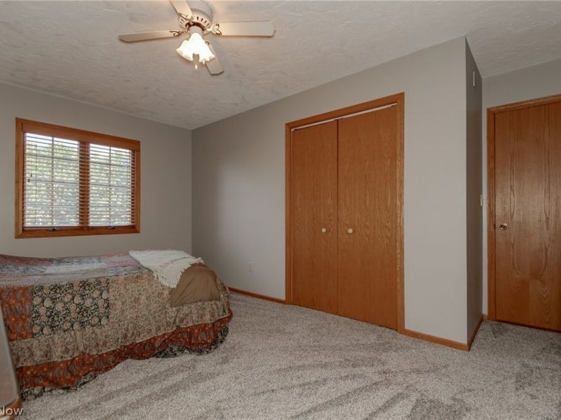 3195 Narrows Road, Perry, OH 44081 Photo 29