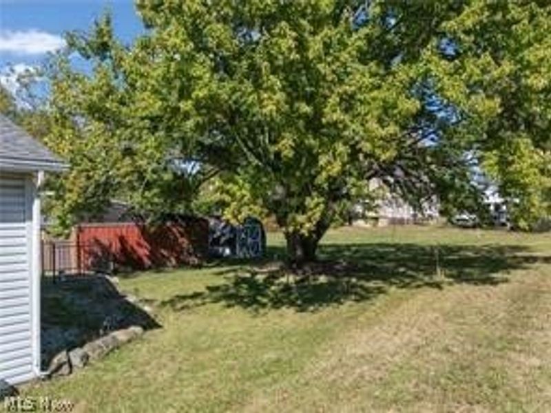 223 E Maple Street, Hartville, OH 44632 Photo 5