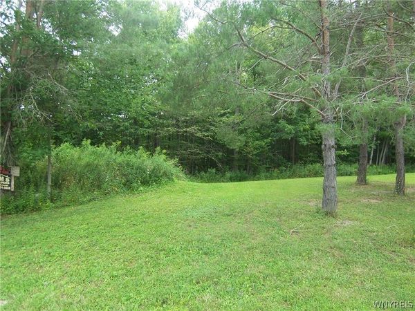 0 Colony Run, Alexander, NY 14005