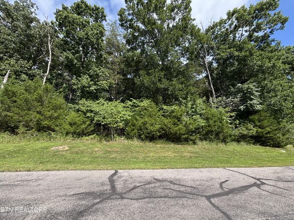 Bay Shore Drive, Rockwood, TN 37854