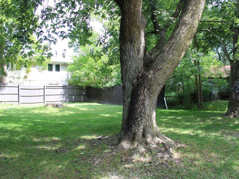 238 Fairview Street, Marion, OH 43302 Photo 27