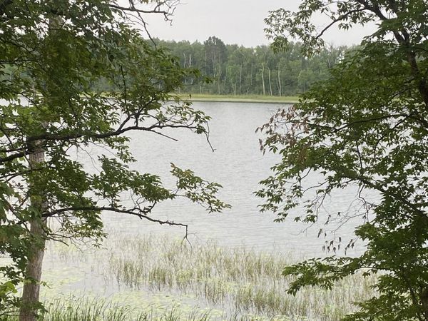 TBD Wolf Ridge Drive, Cass Lake, MN 56633