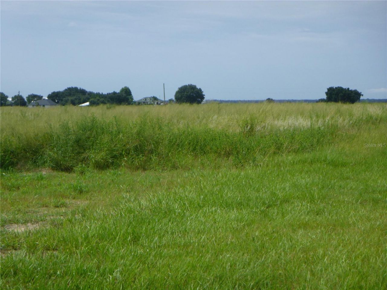 2975 Pit Road, Bartow, FL 33830 Photo
