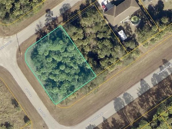 15-17-28-0200-009-00100 Georgia ST, PAISLEY, FL 32767