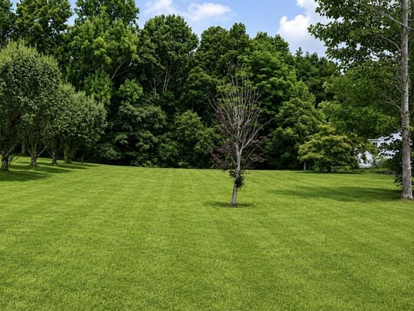 53 Pine Grove Rd , Unit 53, Smithville, TN 37166
