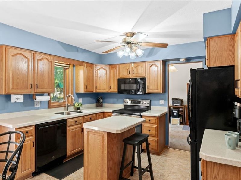 7288 Rita Drive , Independence, OH 44131 Photo 16