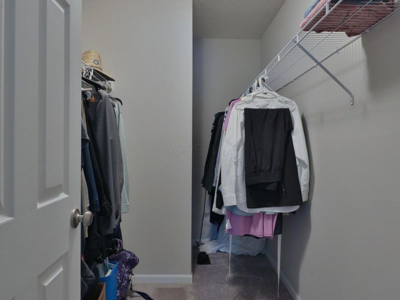 513 Randall Road, Delaware, OH 43015 Photo 33