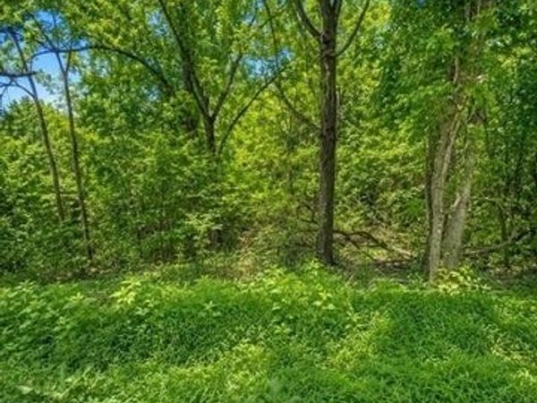 0 Reeves St , Lexington, TN 38351