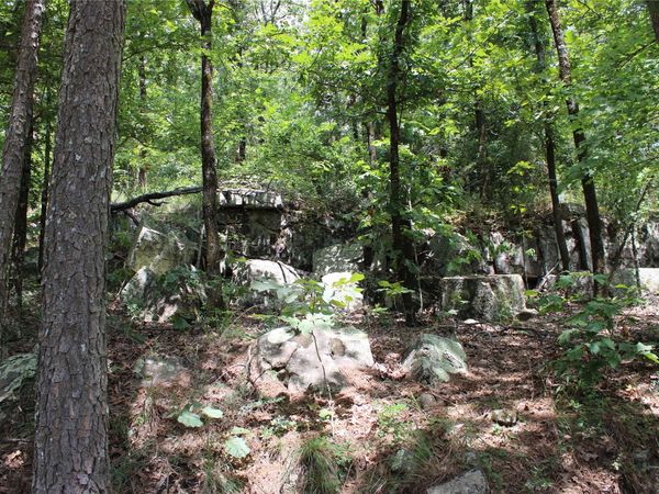 Buffalo Mountain Rd., Talihina, OK 74571