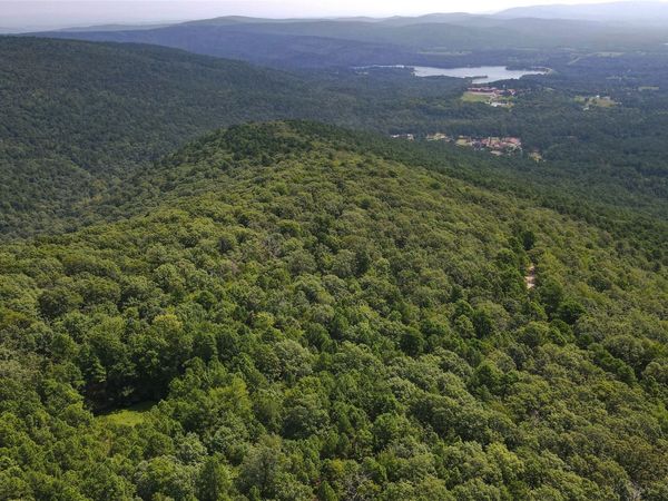 Buffalo Mountain Rd., Talihina, OK 74571