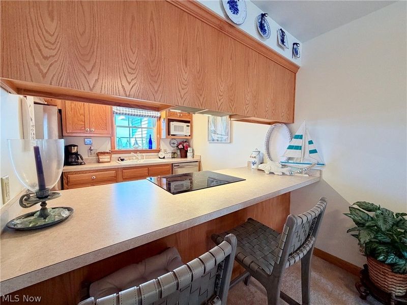 5753 Lake Road E, Unit 602B, Geneva, OH 44041 Photo 8