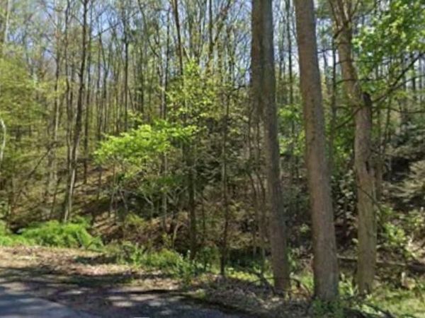0 TALLMAN HOLLOW ROAD , MONTOURSVILLE, PA 17754