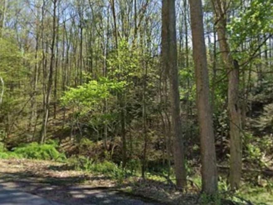 0 Tallman Hollow Road , Montoursville, PA 17754 Main Photo
