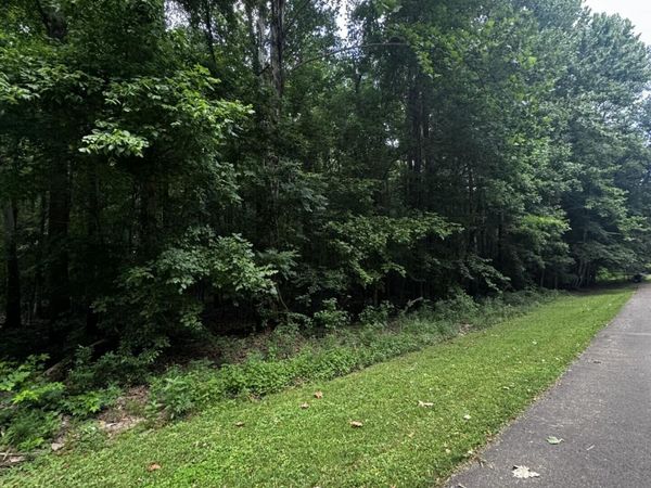 E Sweetwater , Byhalia, MS 38611