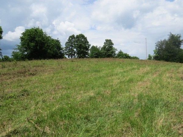 0 Hardy Rd , Pulaski, TN 38478