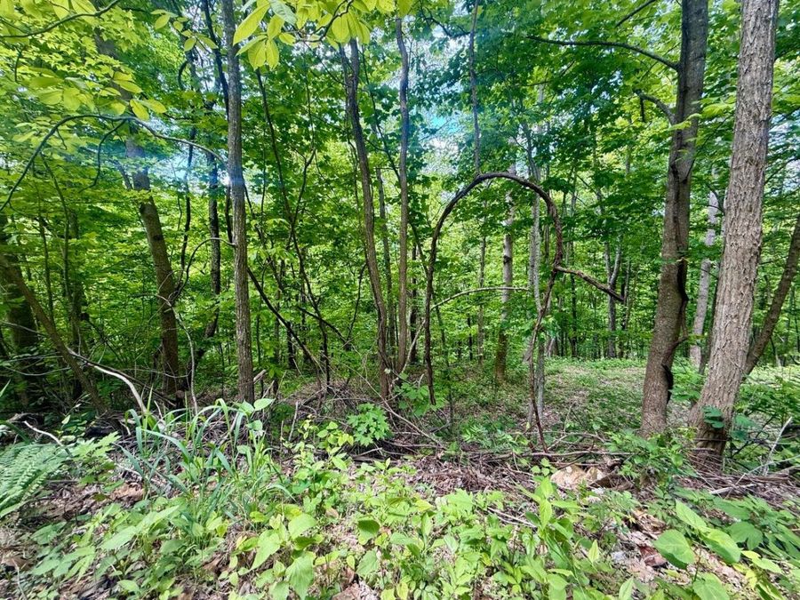 Property Image 25