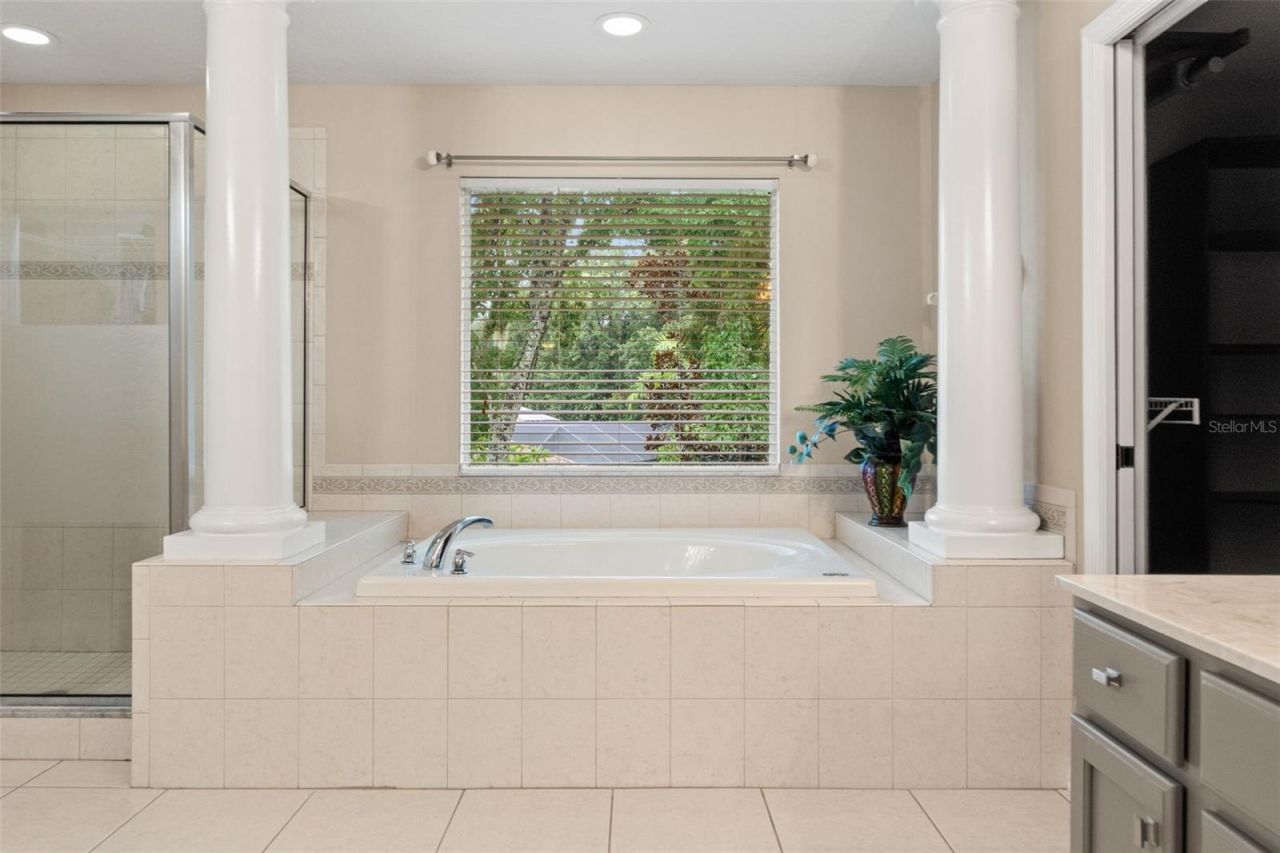 7445 Minnow Brook Way, Land O Lakes, FL 34637 Photo