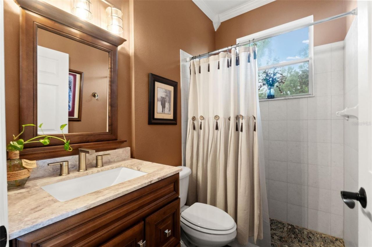 7445 Minnow Brook Way, Land O Lakes, FL 34637 Photo