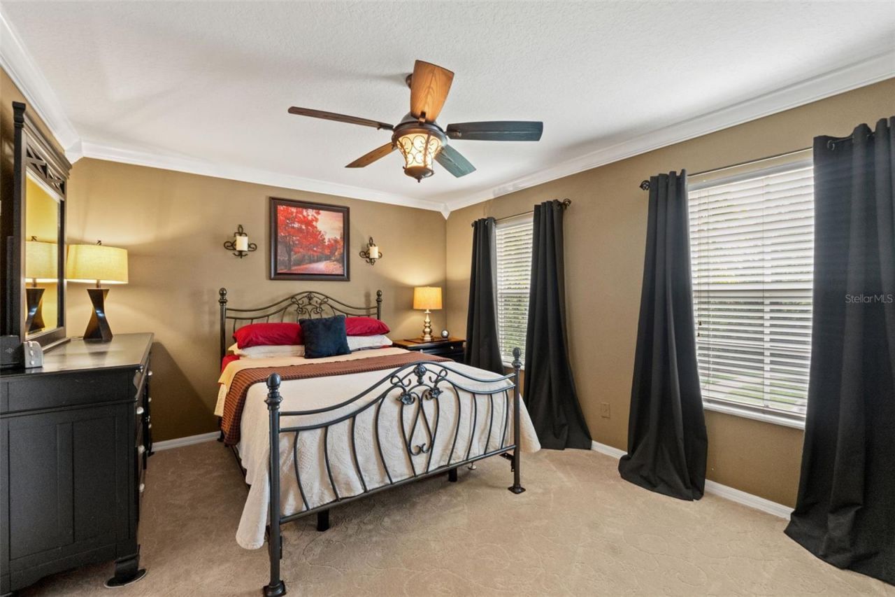 7445 Minnow Brook Way, Land O Lakes, FL 34637 Photo