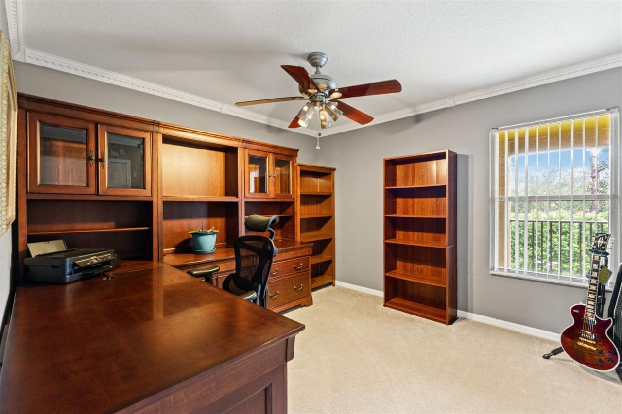 7445 Minnow Brook Way, Land O Lakes, FL 34637 Photo