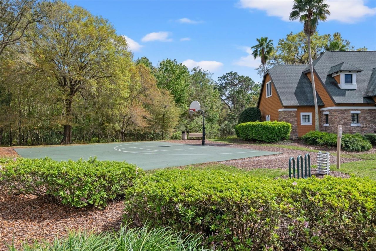 7445 Minnow Brook Way, Land O Lakes, FL 34637 Photo