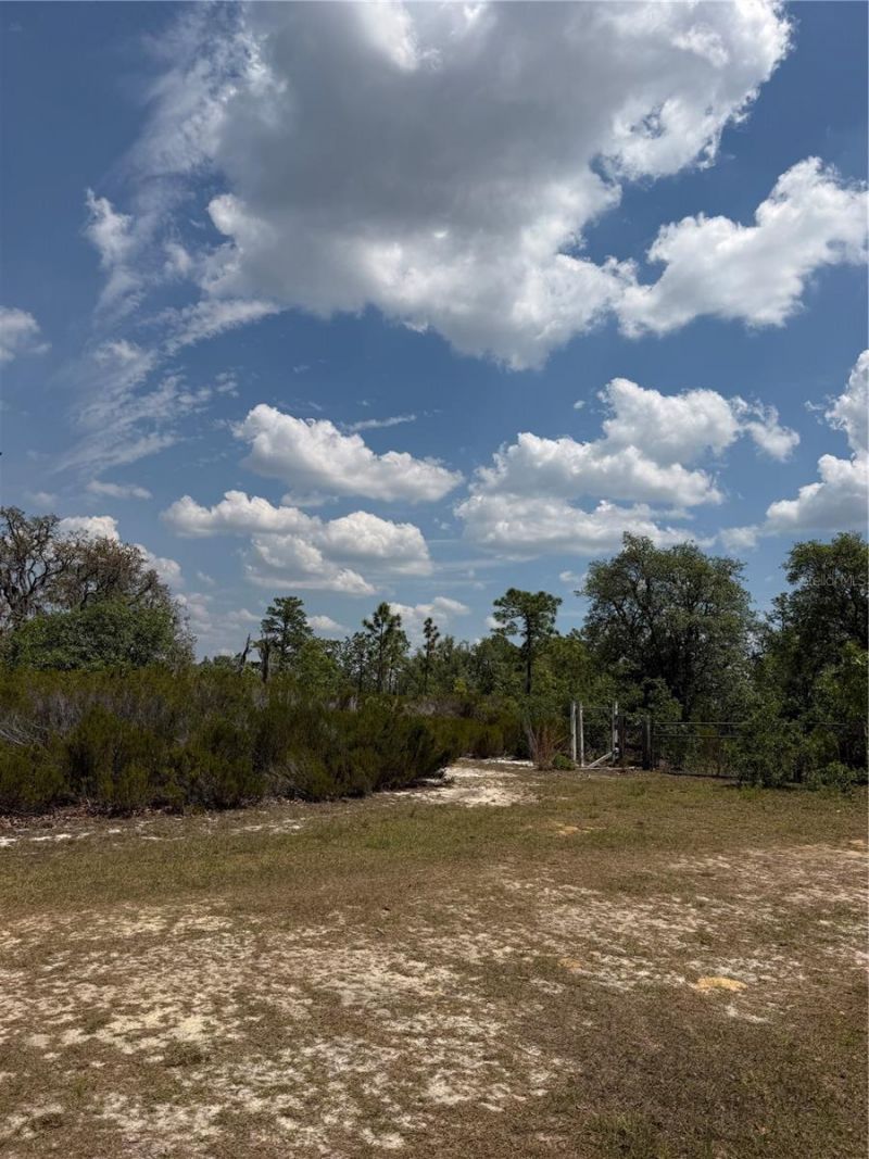Ne 110th Avenue, Bronson, FL 32621 Photo