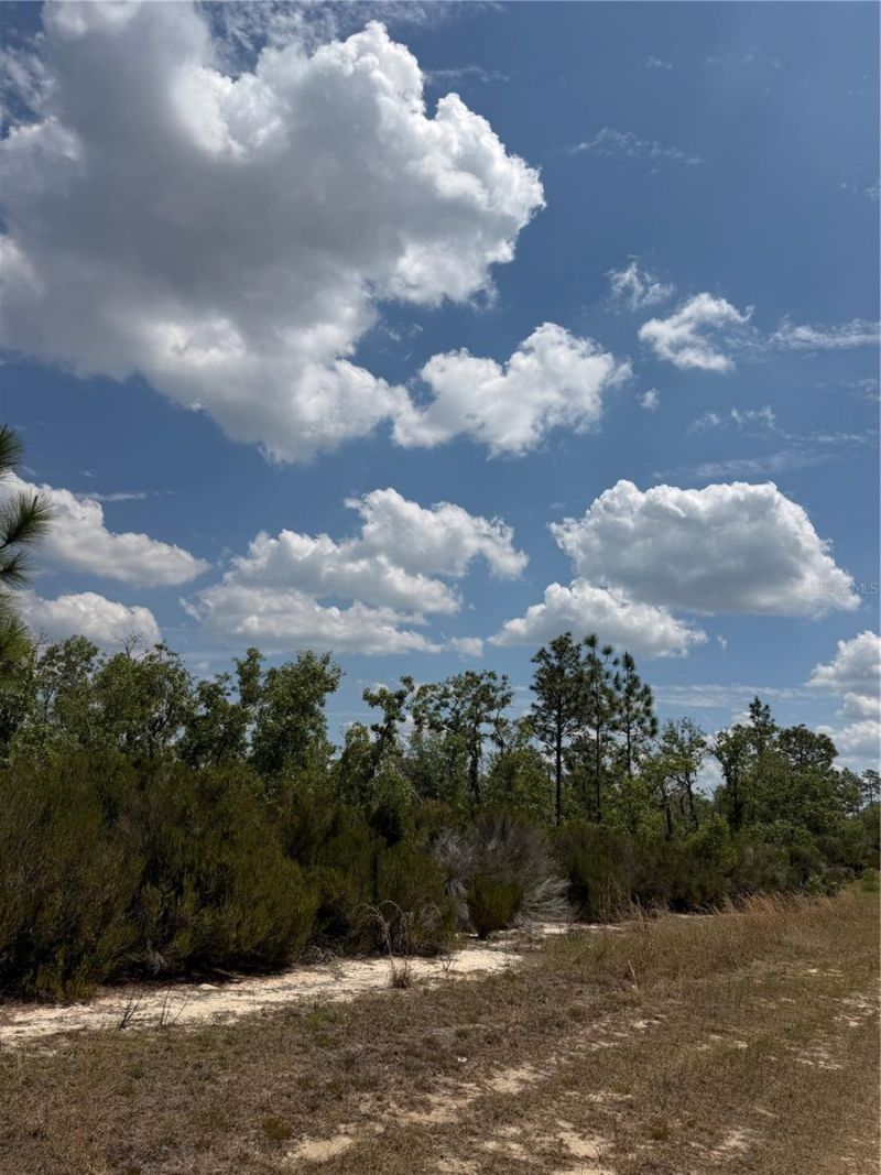Ne 110th Avenue, Bronson, FL 32621 Photo