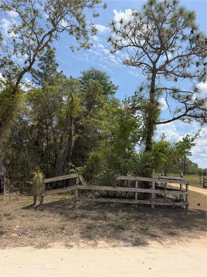 Ne 110th Avenue, Bronson, FL 32621 Photo