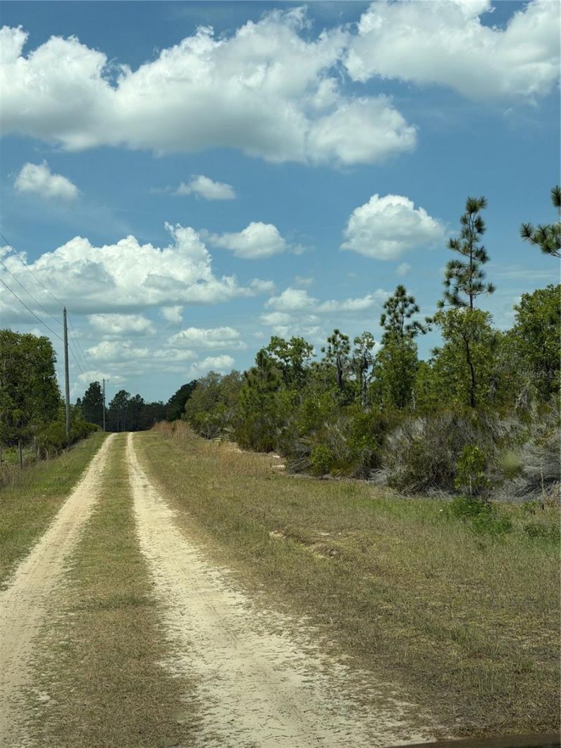 Ne 110th Avenue, Bronson, FL 32621 Photo