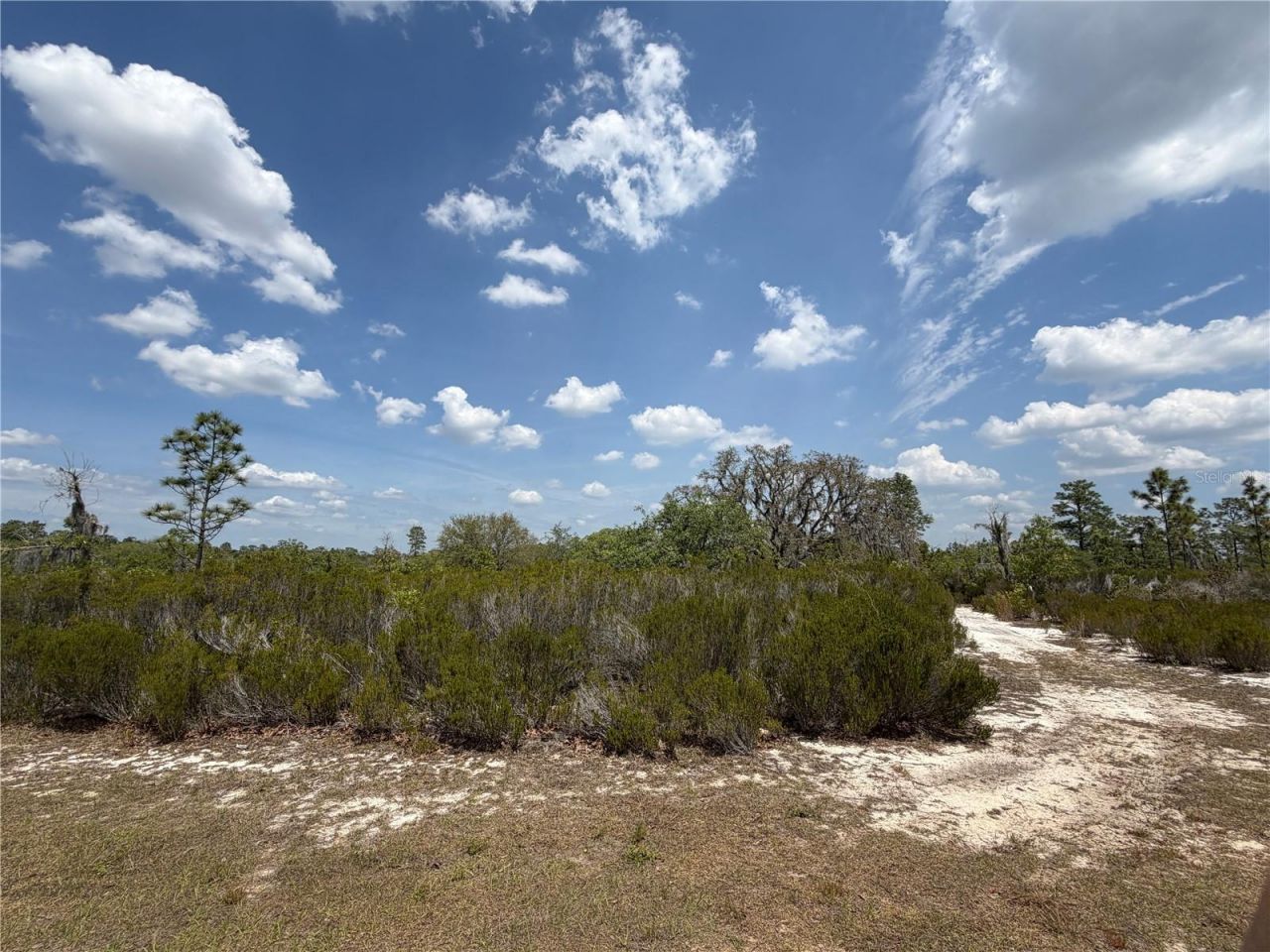 Ne 110th Avenue, Bronson, FL 32621 Photo