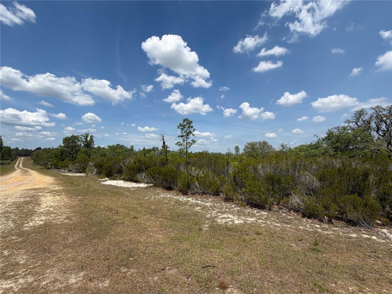 Ne 110th Avenue, Bronson, FL 32621 Photo