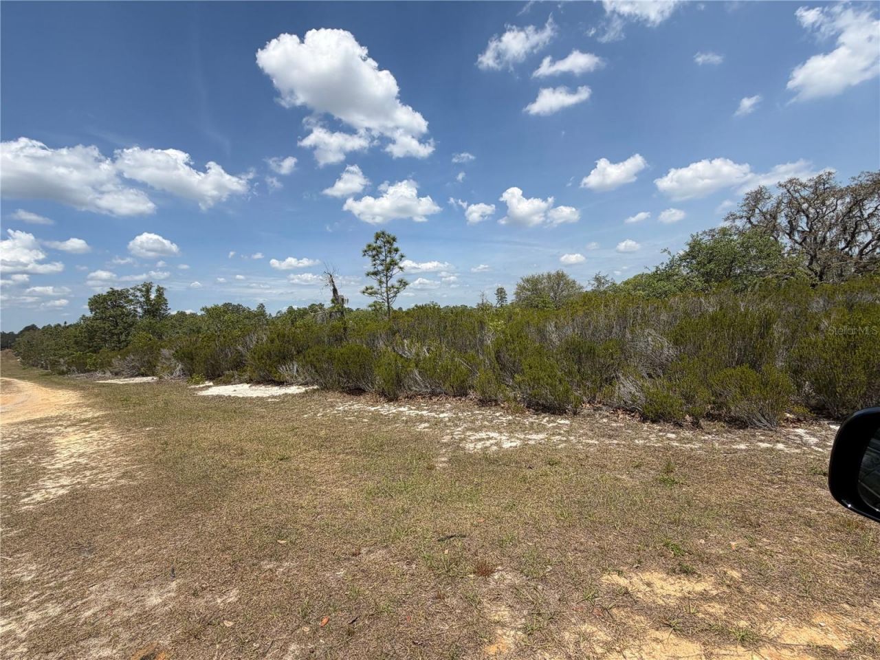 Ne 110th Avenue, Bronson, FL 32621 Photo