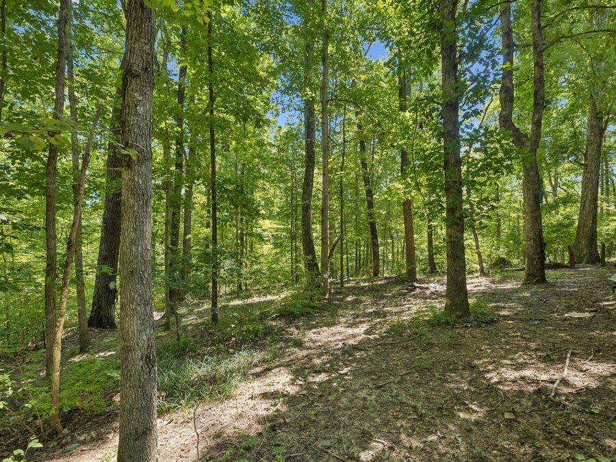 Property Image 60