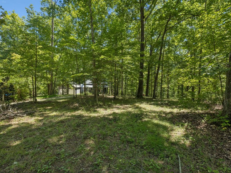 Property Image 61